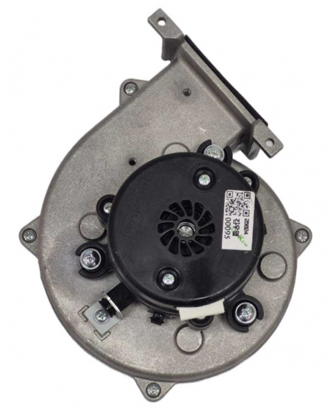 S242100067-3