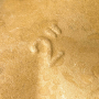 SFT-0019-000002_06
